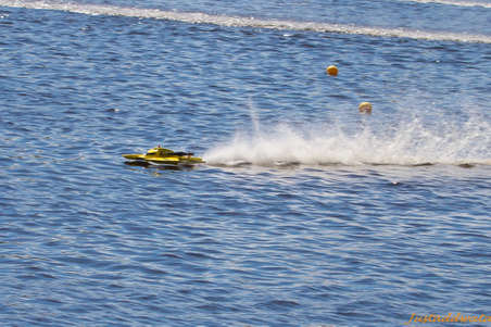 Enlarge photo 98
