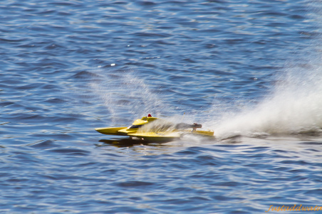Enlarge photo 107