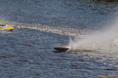 Enlarge photo 144