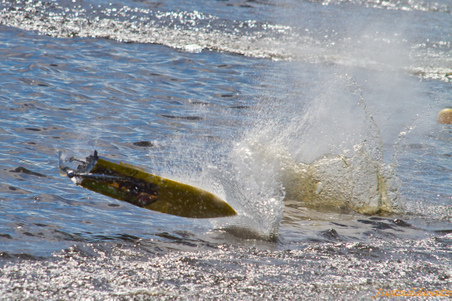 Enlarge photo 146