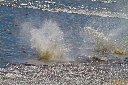 Enlarge photo 147