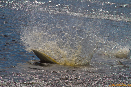 Enlarge photo 148