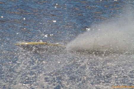 Enlarge photo 149