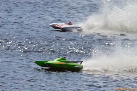 Enlarge photo 185