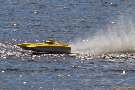 Enlarge photo 186
