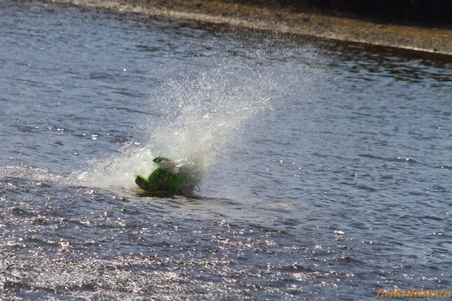 Enlarge photo 188