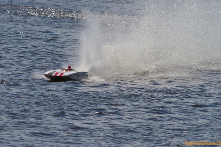 Enlarge photo 195