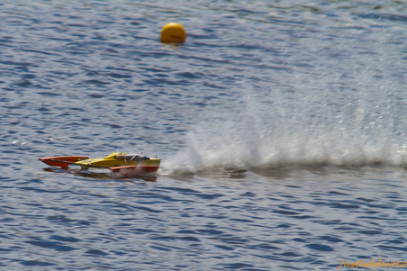 Enlarge photo 207
