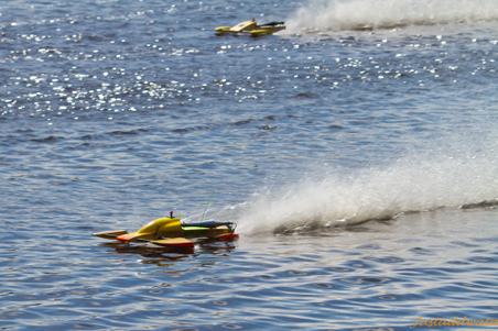 Enlarge photo 225