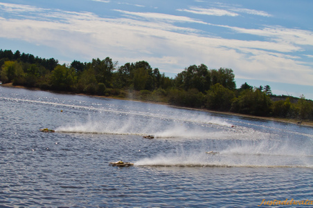 Enlarge photo 229