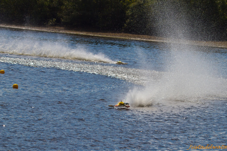 Enlarge photo 235