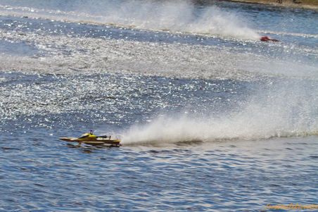 Enlarge photo 238