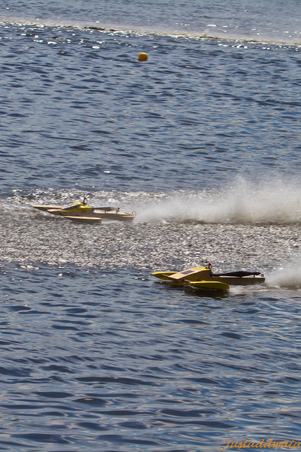 Enlarge photo 240