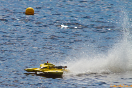 Enlarge photo 271