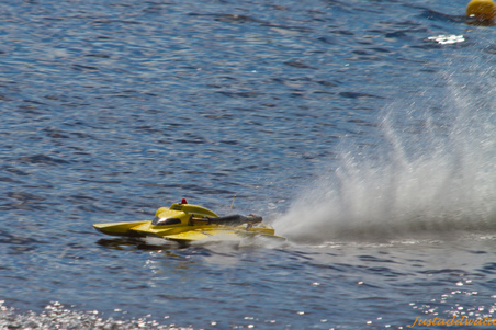 Enlarge photo 272