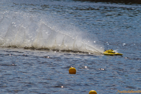 Enlarge photo 277