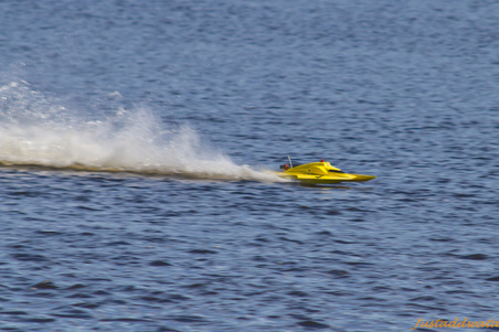 Enlarge photo 279