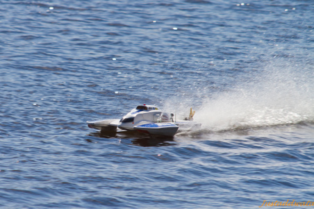 Enlarge photo 282