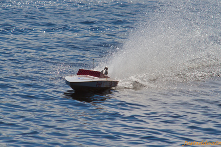 Enlarge photo 291