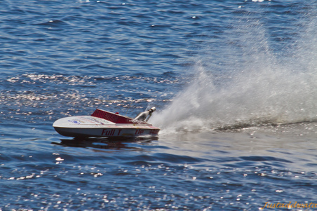Enlarge photo 298