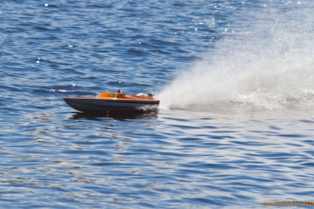 Enlarge photo 299
