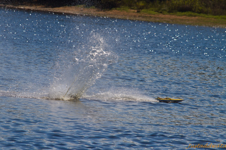 Enlarge photo 307
