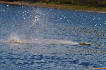 Enlarge photo 308