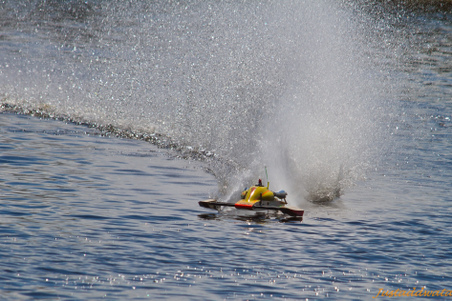 Enlarge photo 317