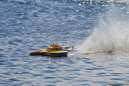 Enlarge photo 330