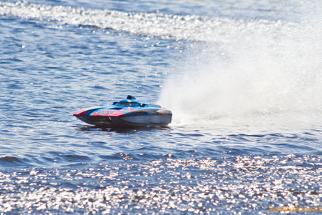 Enlarge photo 332