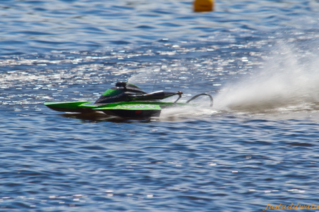 Enlarge photo 334