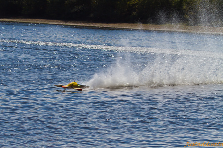 Enlarge photo 347