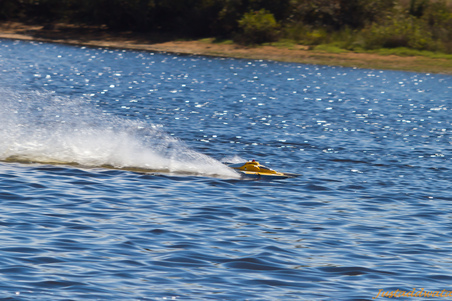 Enlarge photo 349