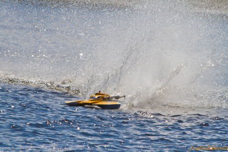 Enlarge photo 351
