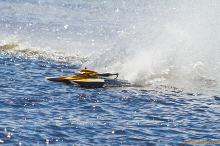 Enlarge photo 352