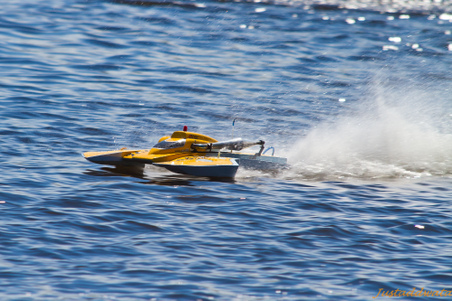 Enlarge photo 353