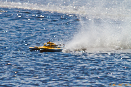 Enlarge photo 368