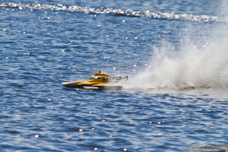 Enlarge photo 377