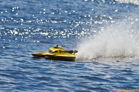 Enlarge photo 379
