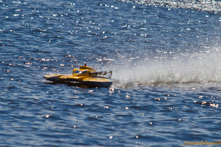 Enlarge photo 383