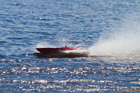 Enlarge photo 398
