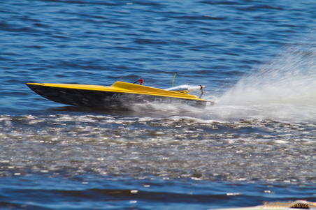 Enlarge photo 399