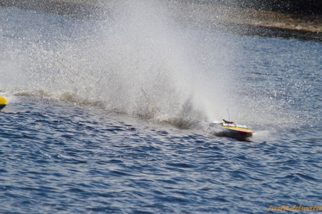 Enlarge photo 408