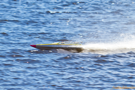 Enlarge photo 421