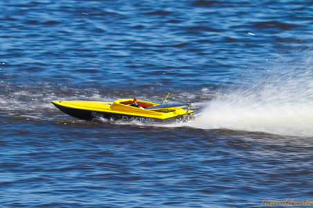 Enlarge photo 426