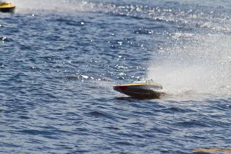 Enlarge photo 428