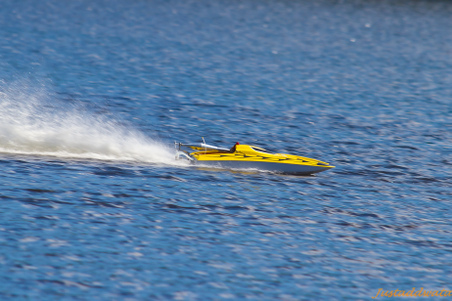 Enlarge photo 439