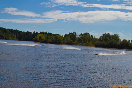 Enlarge photo 441