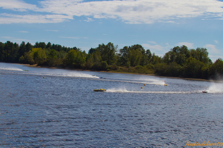 Enlarge photo 442