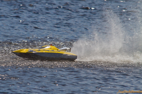 Enlarge photo 447